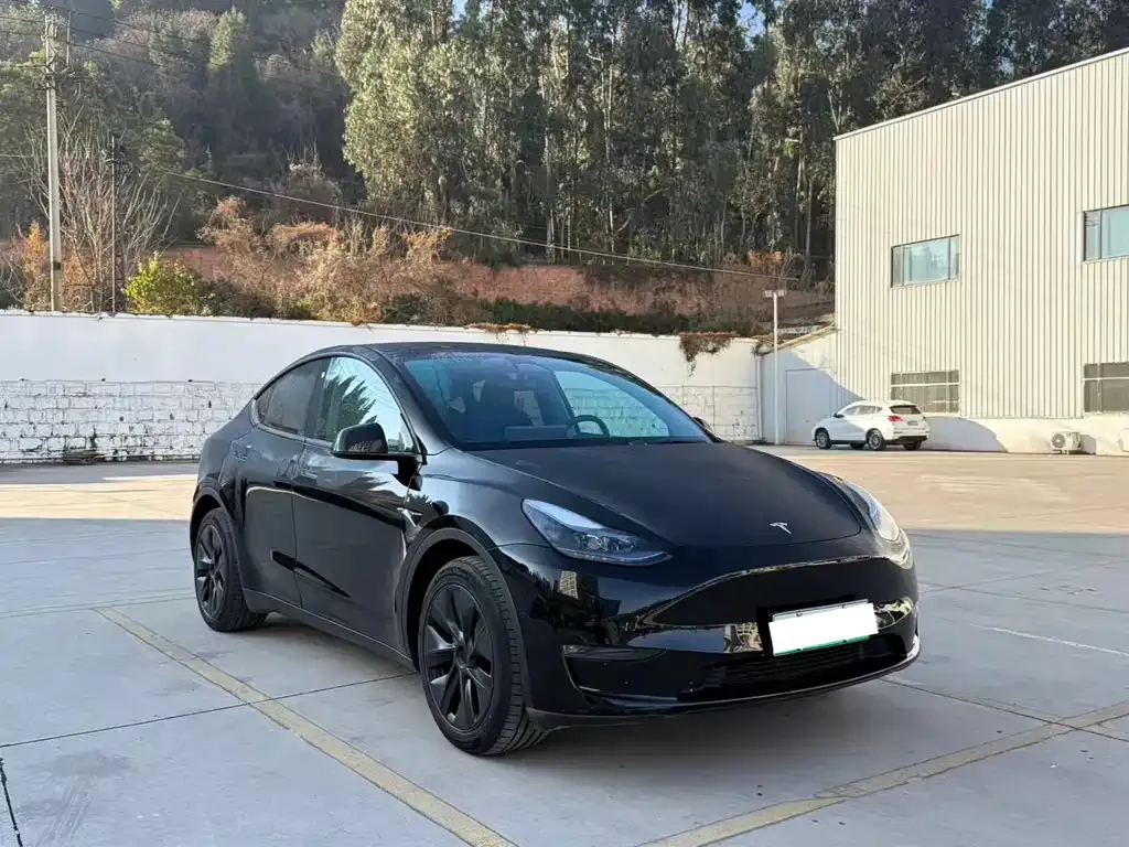 Tesla Model Y 2023 из CN, фото 3