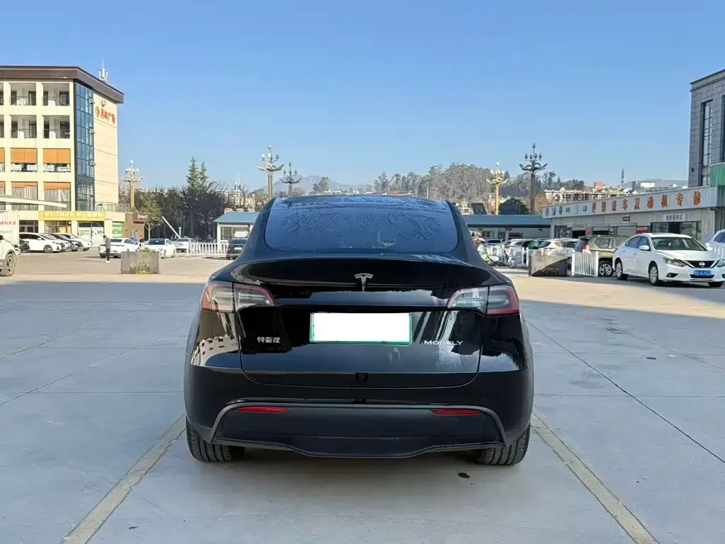 Tesla Model Y 2023 из CN, фото 2