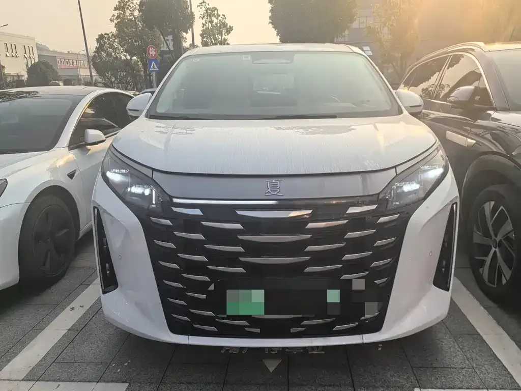 BYD Xia 2025 из CN, фото 1