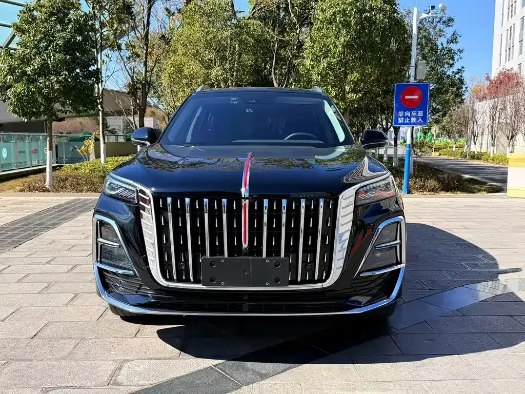 Hongqi HS5 2024 из CN, фото 8