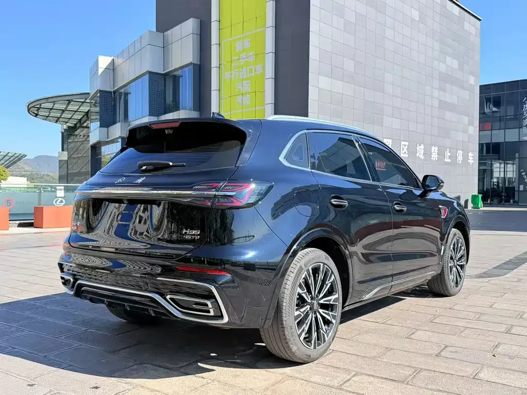 Hongqi HS5 2024 из CN, фото 6