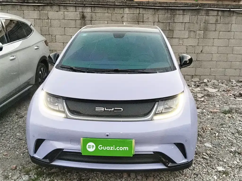 BYD Dolphin 2023 из CN, фото 7