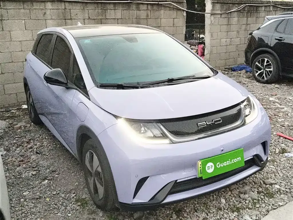 BYD Dolphin 2023 из CN, фото 6