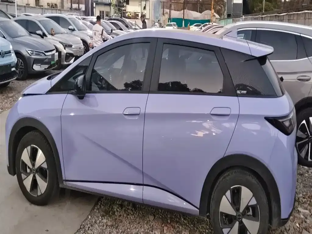 BYD Dolphin 2023 из CN, фото 4