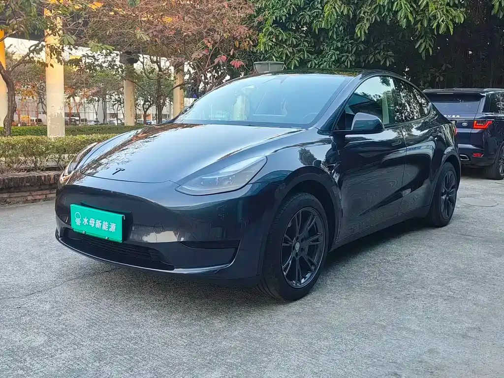 Tesla Model Y 2024 из CN, фото 1