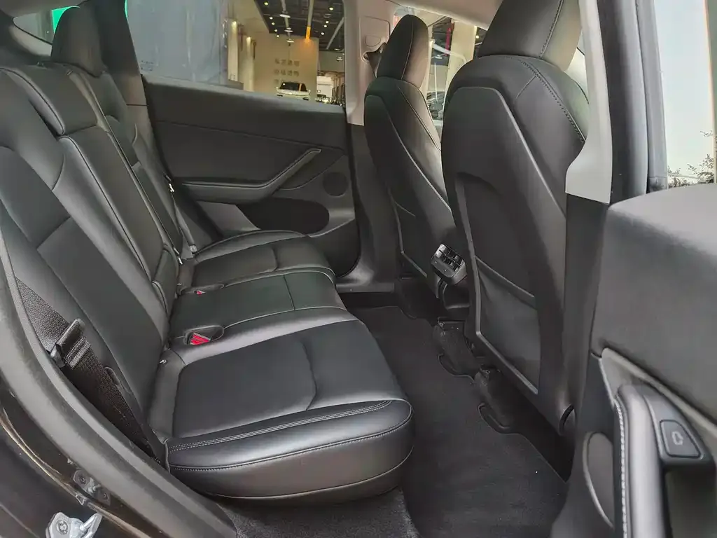 Tesla Model Y 2024 из CN, фото 6