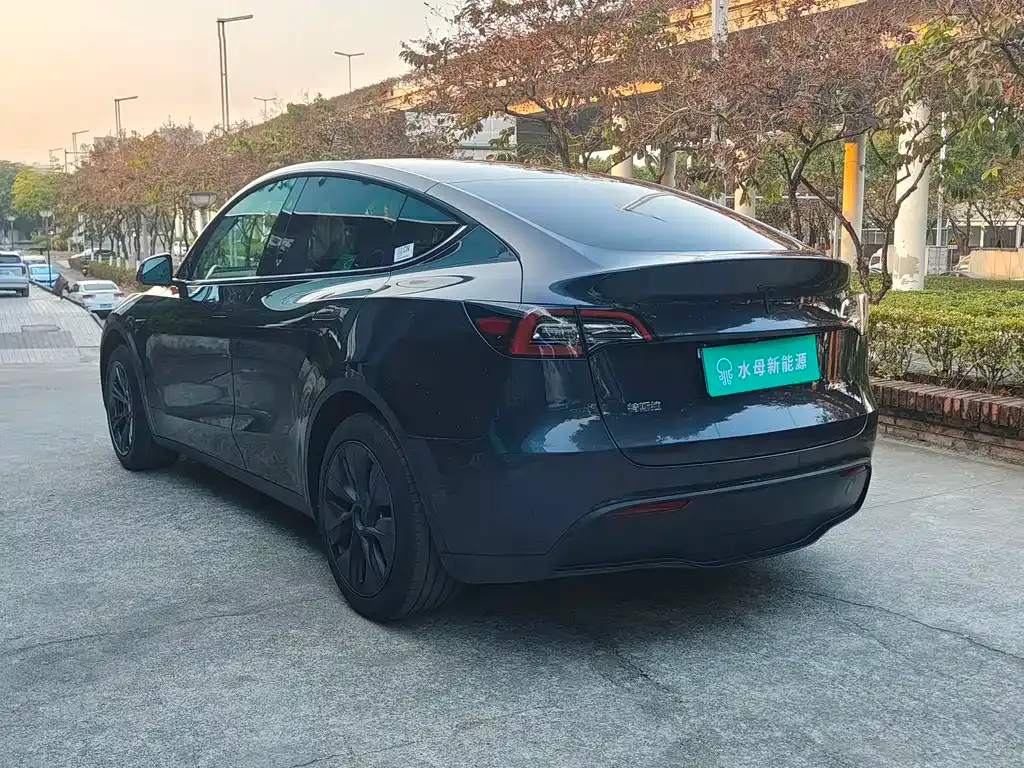 Tesla Model Y 2024 из CN, фото 8