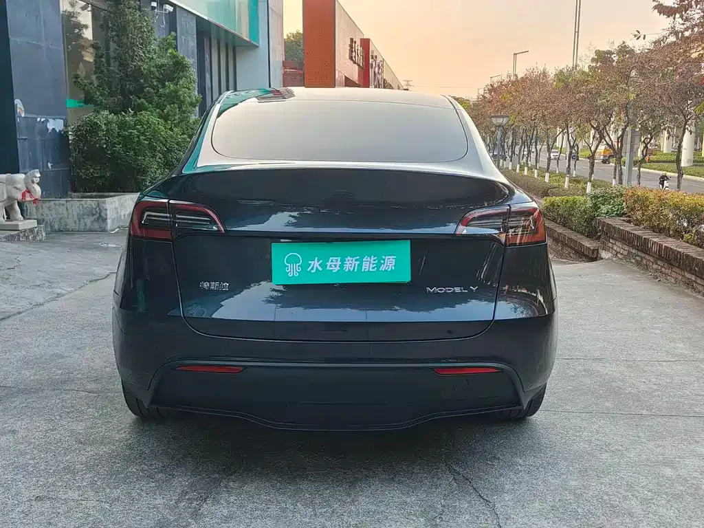 Tesla Model Y 2024 из CN, фото 10