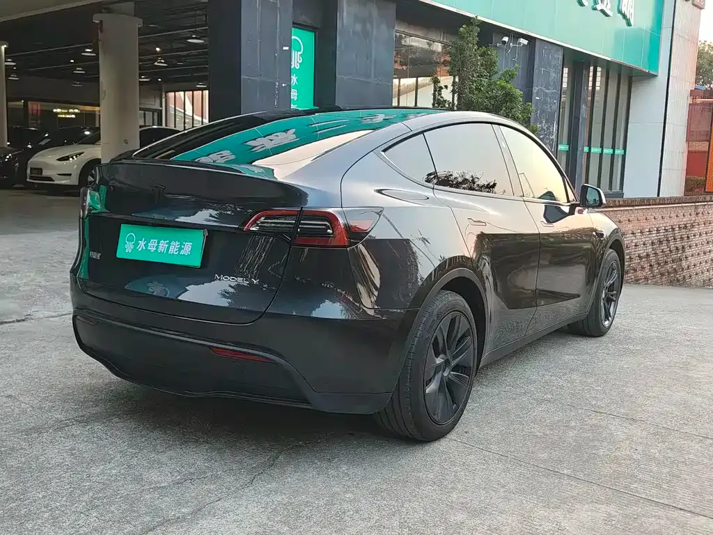 Tesla Model Y 2024 из CN, фото 9