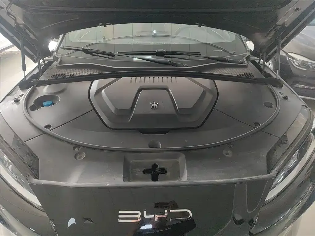BYD PLUS New Energy 2024 из CN, фото 9