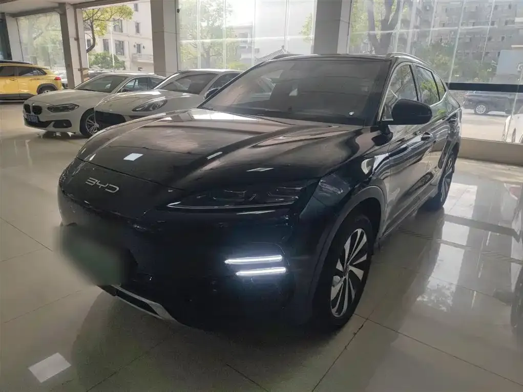BYD PLUS New Energy 2024 из CN, фото 10