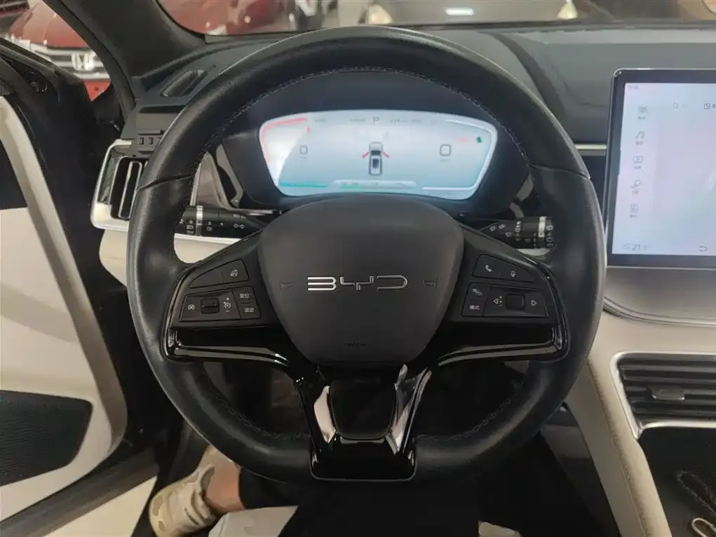 BYD PLUS New Energy 2024 из CN, фото 3