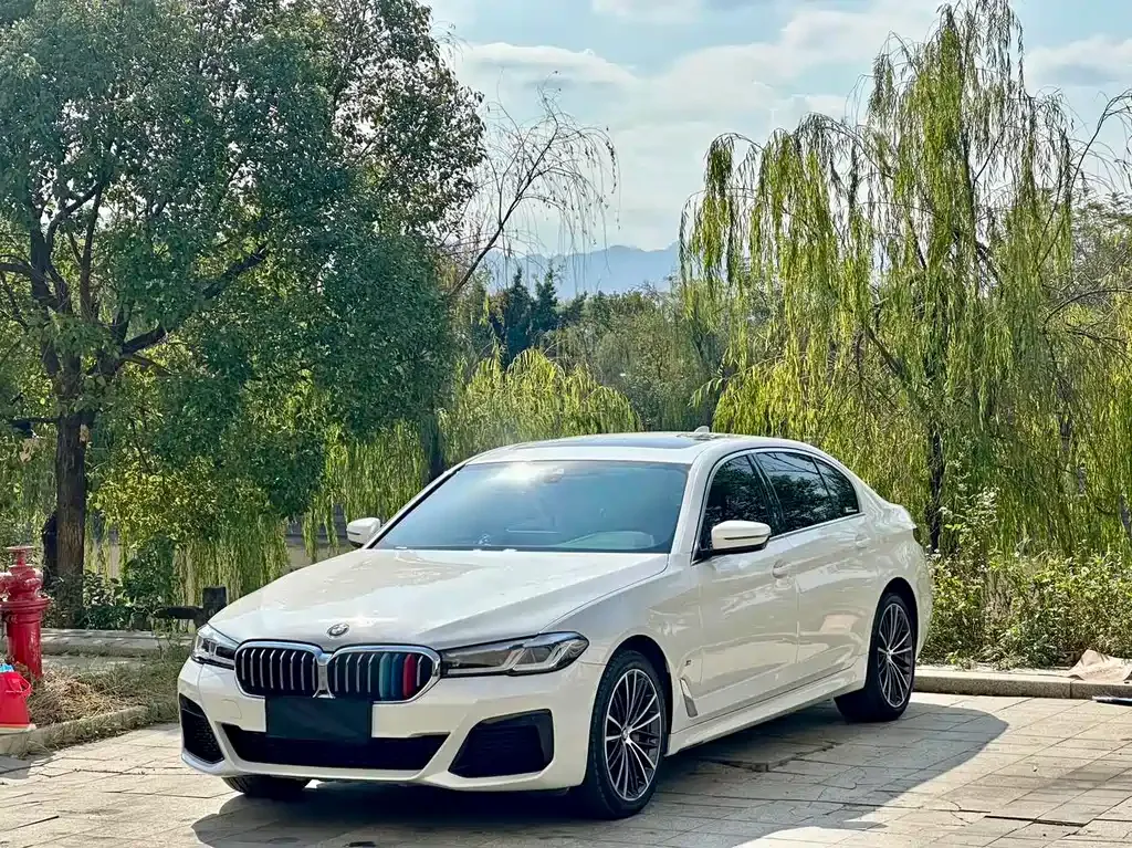 BMW 5 Series 2022 из CN, фото 1