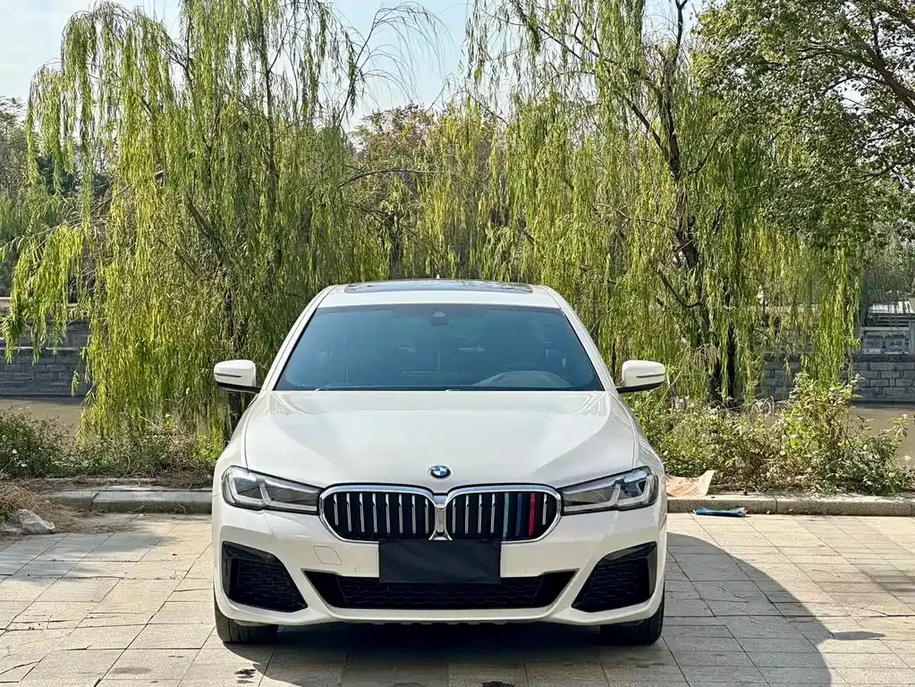 BMW 5 Series 2022 из CN, фото 9