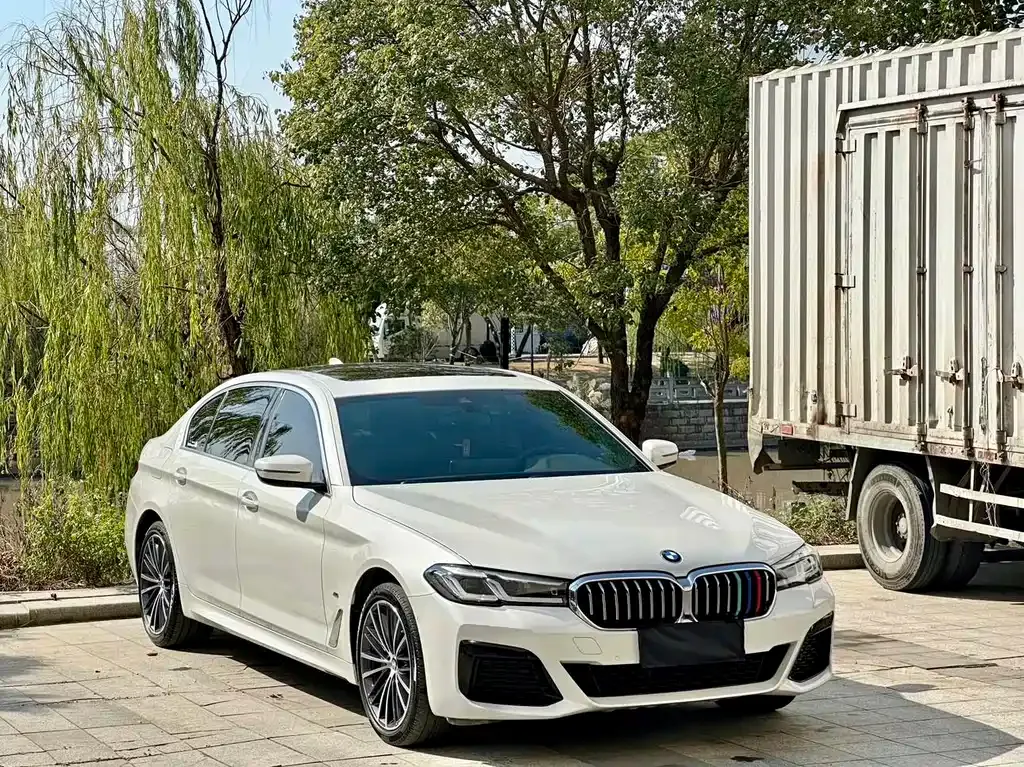 BMW 5 Series 2022 из CN, фото 3