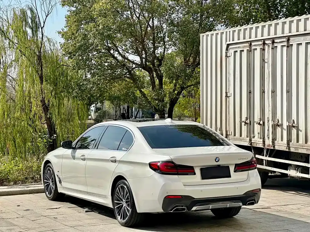 BMW 5 Series 2022 из CN, фото 6