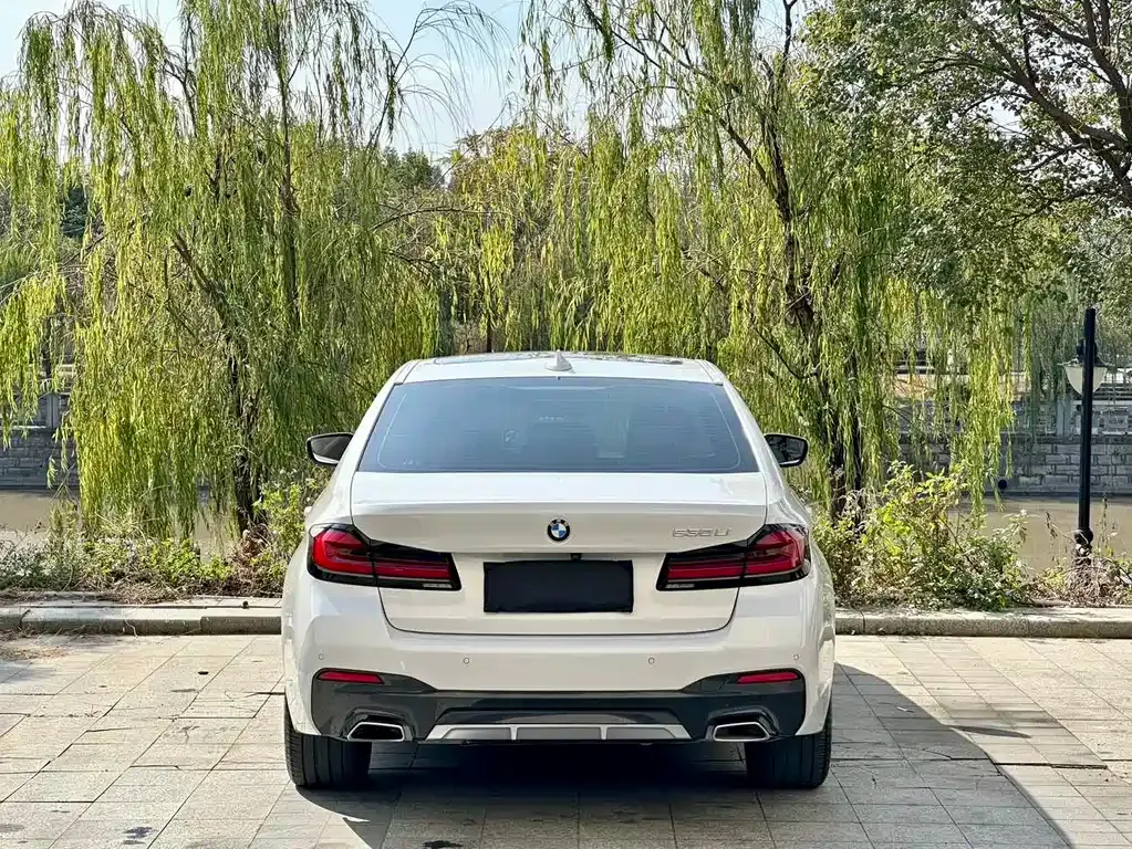 BMW 5 Series 2022 из CN, фото 5