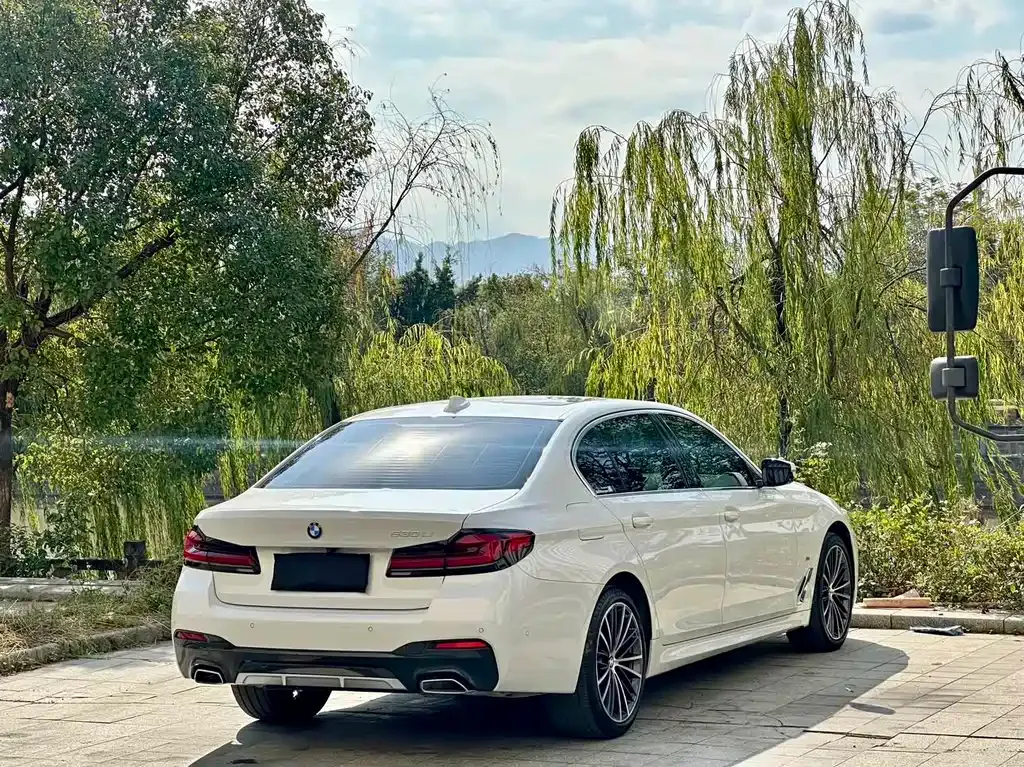 BMW 5 Series 2022 из CN, фото 7