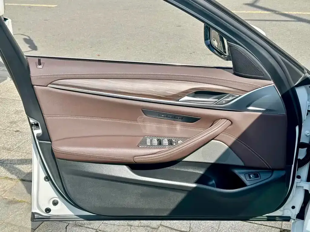 BMW 5 Series 2022 из CN, фото 4