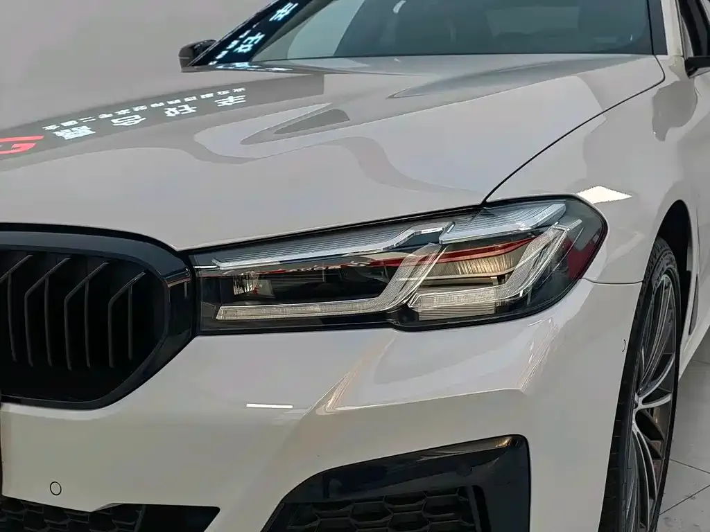 BMW 5 Series 2022 из CN, фото 2