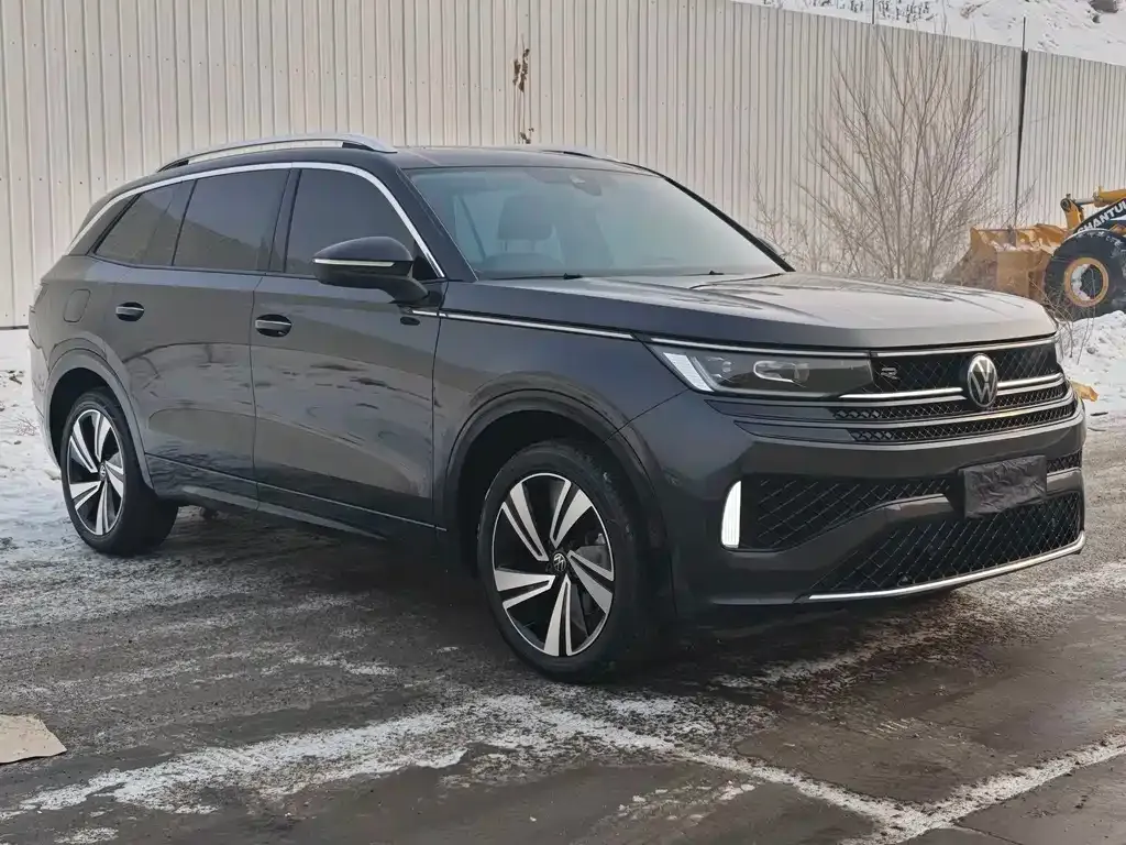 Volkswagen Tavendor 2024 из CN, фото 6