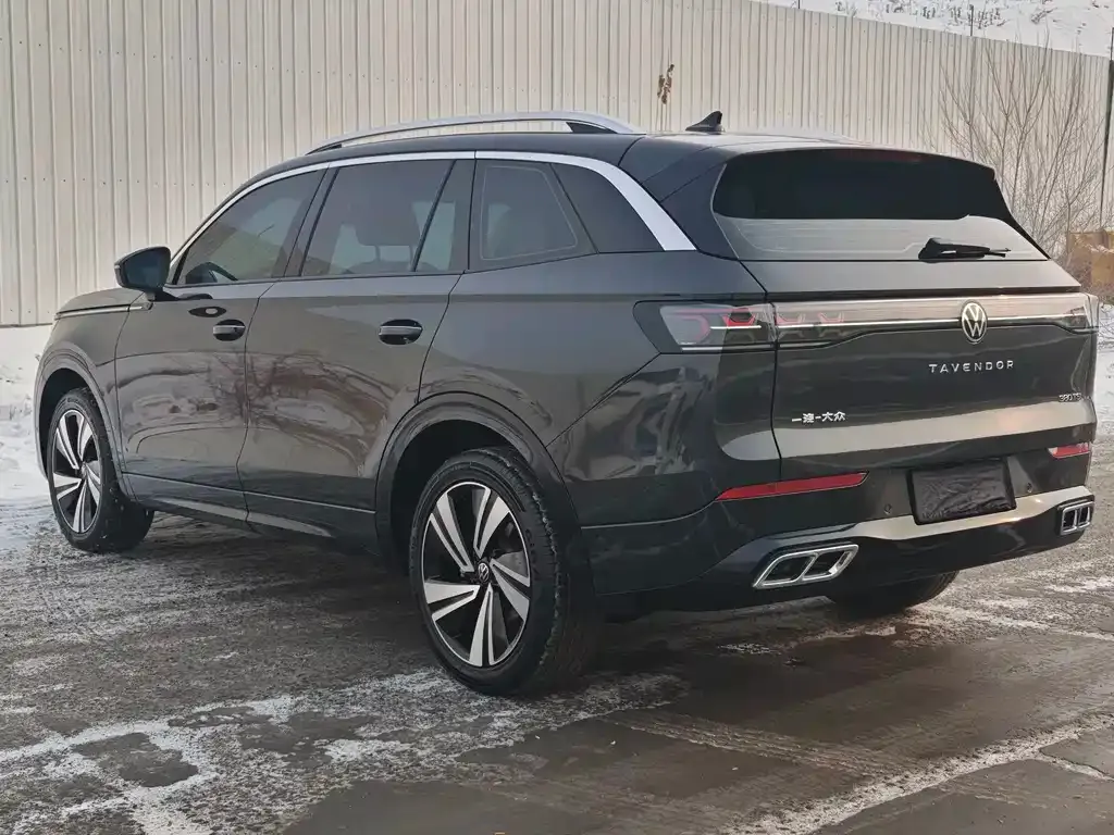 Volkswagen Tavendor 2024 из CN, фото 3