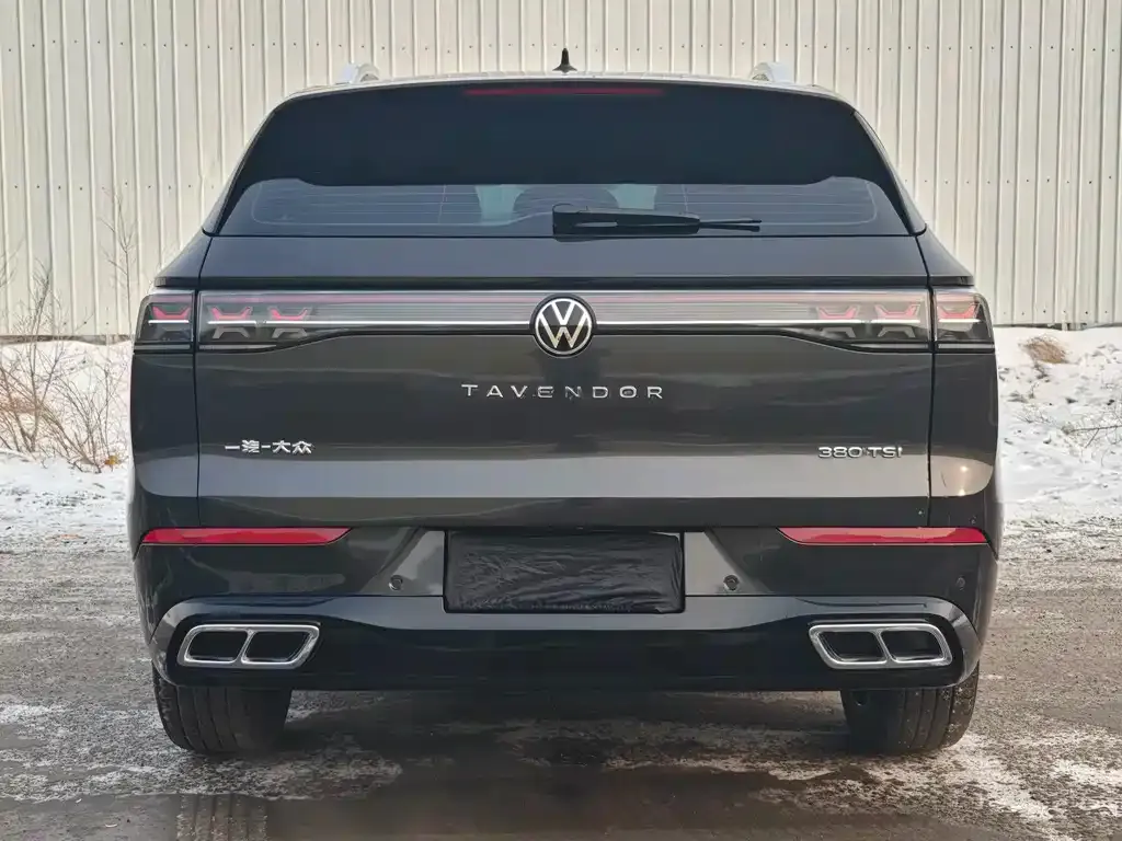 Volkswagen Tavendor 2024 из CN, фото 9