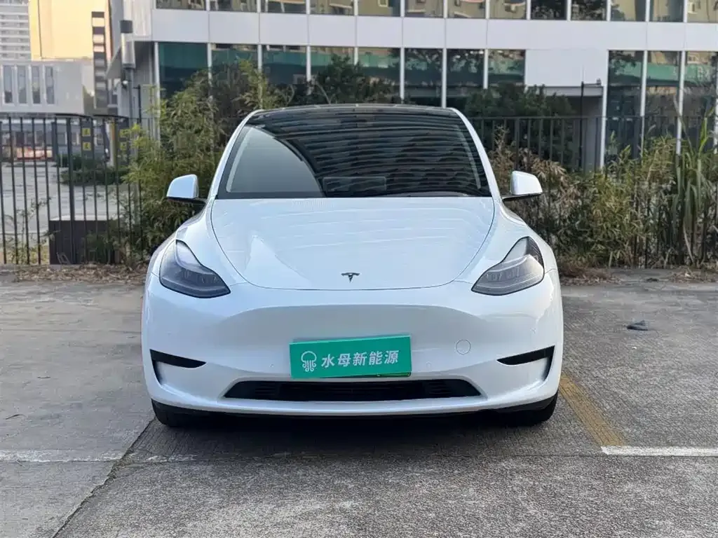 Tesla Model Y — фото 6