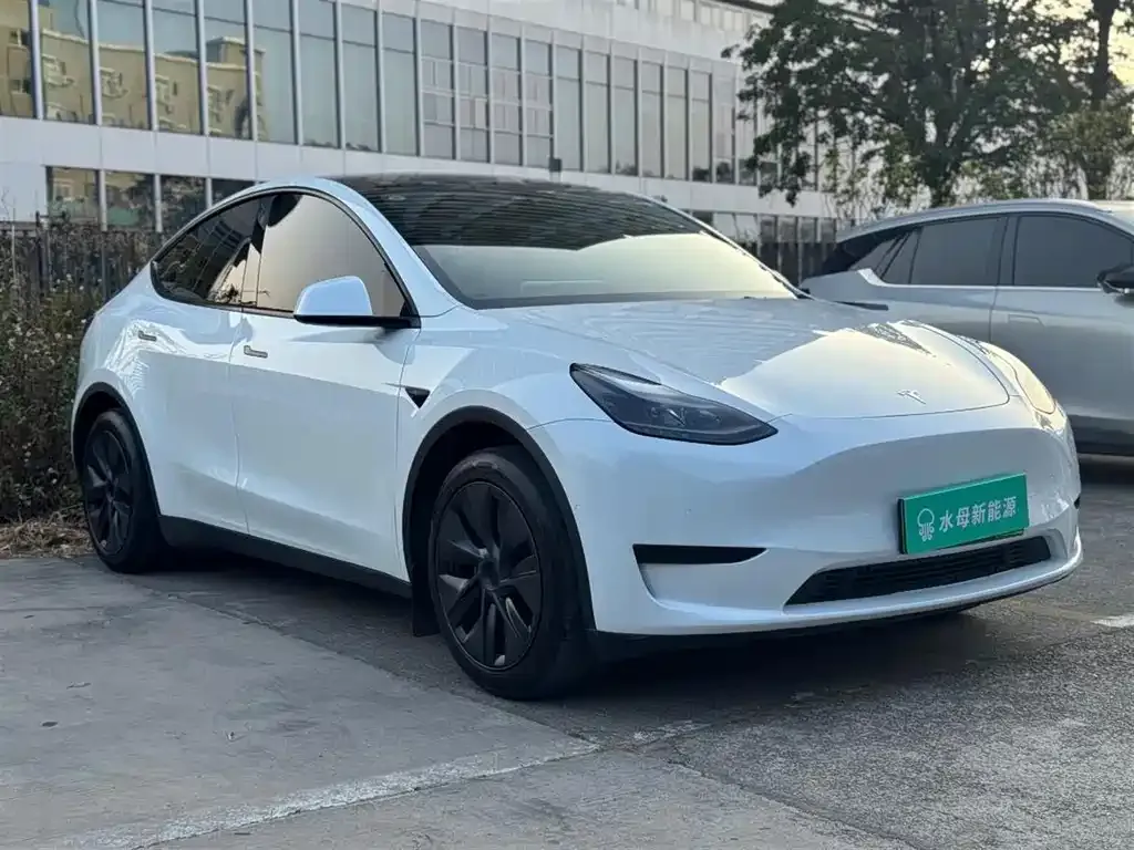 Tesla Model Y — фото 9