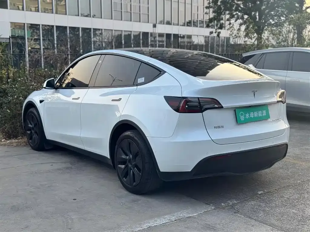 Tesla Model Y — фото 10