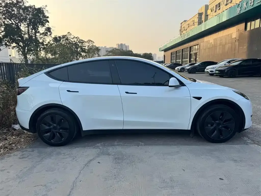 Tesla Model Y — фото 7
