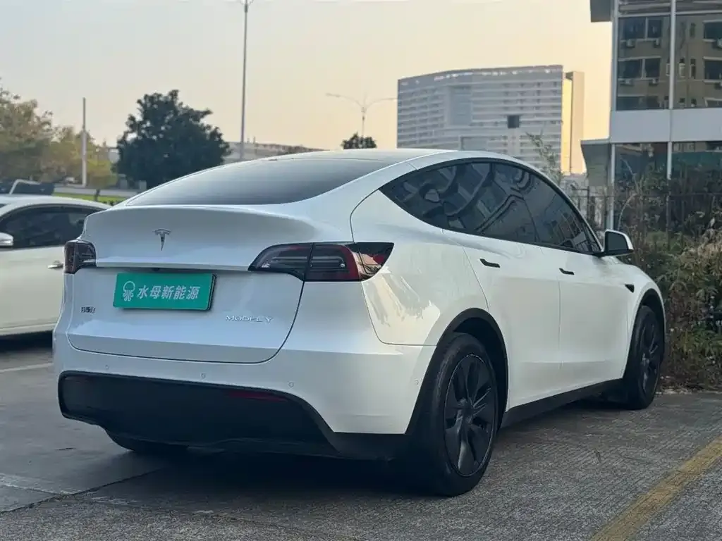 Tesla Model Y — фото 5