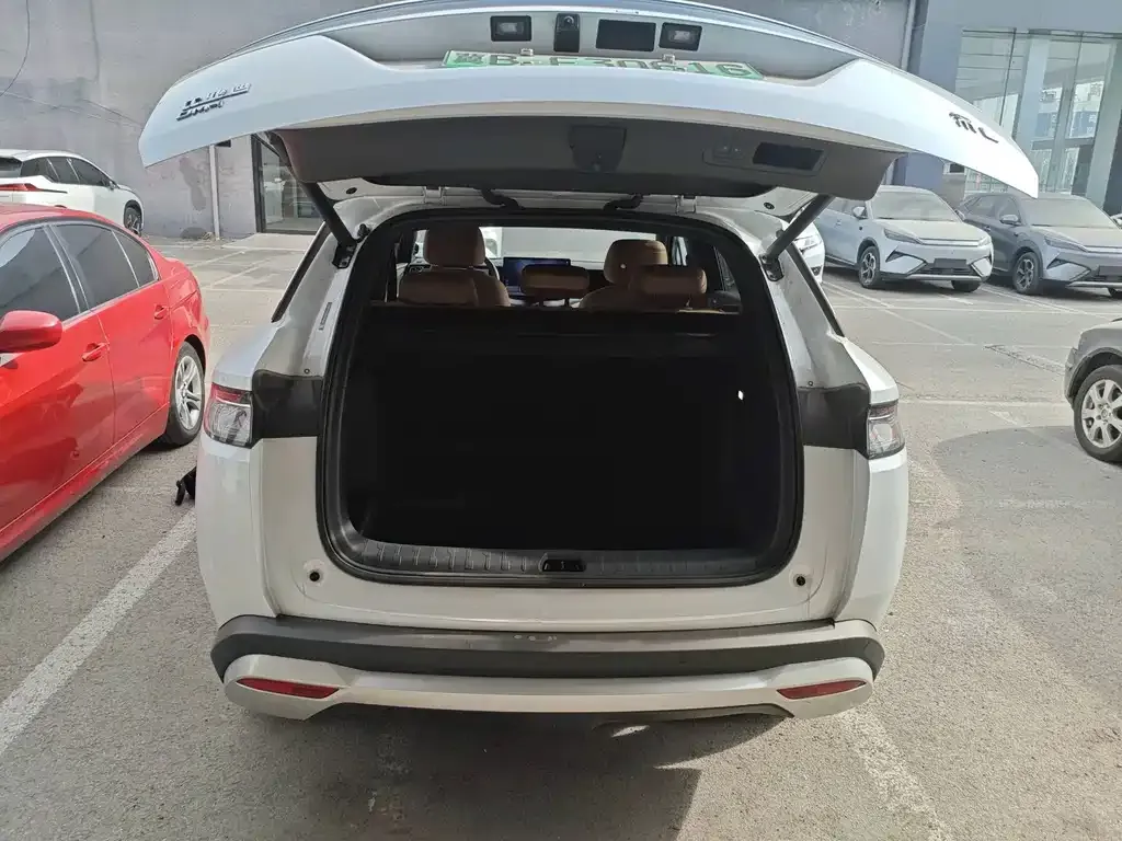 BYD L DM-i — фото 3