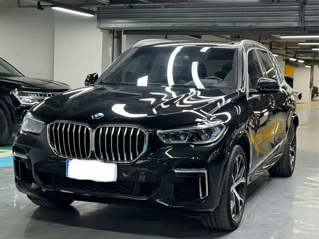 BMW X5 (Import) 2021 из CN, фото 1