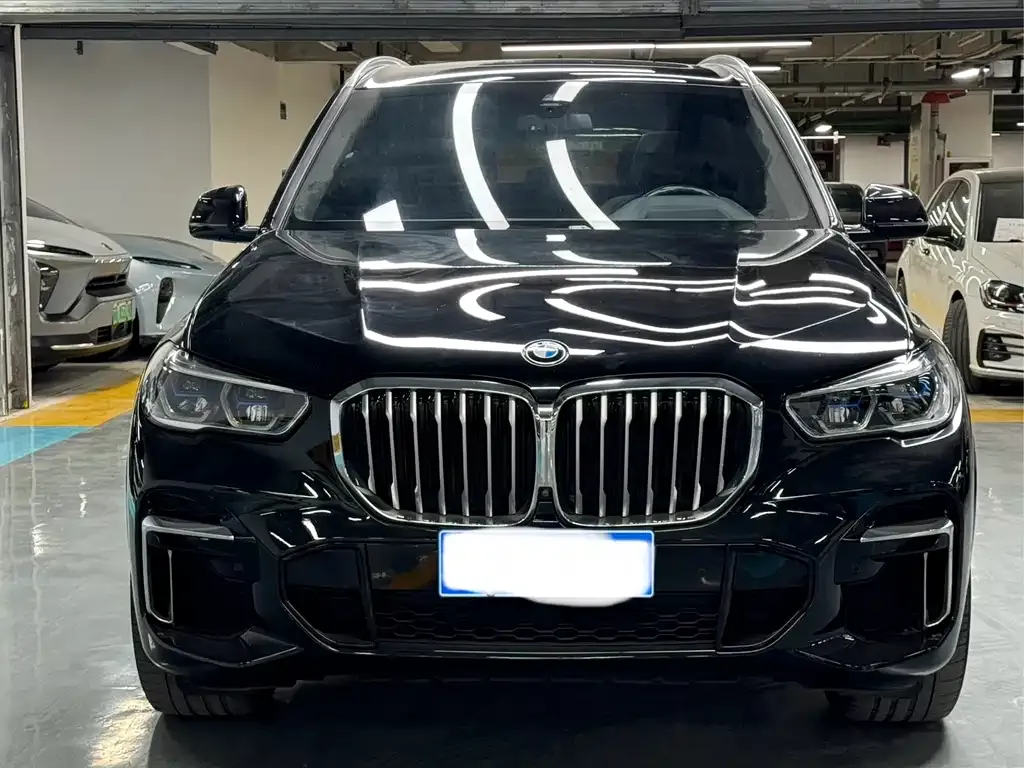BMW X5 (Import) 2021 из CN, фото 3