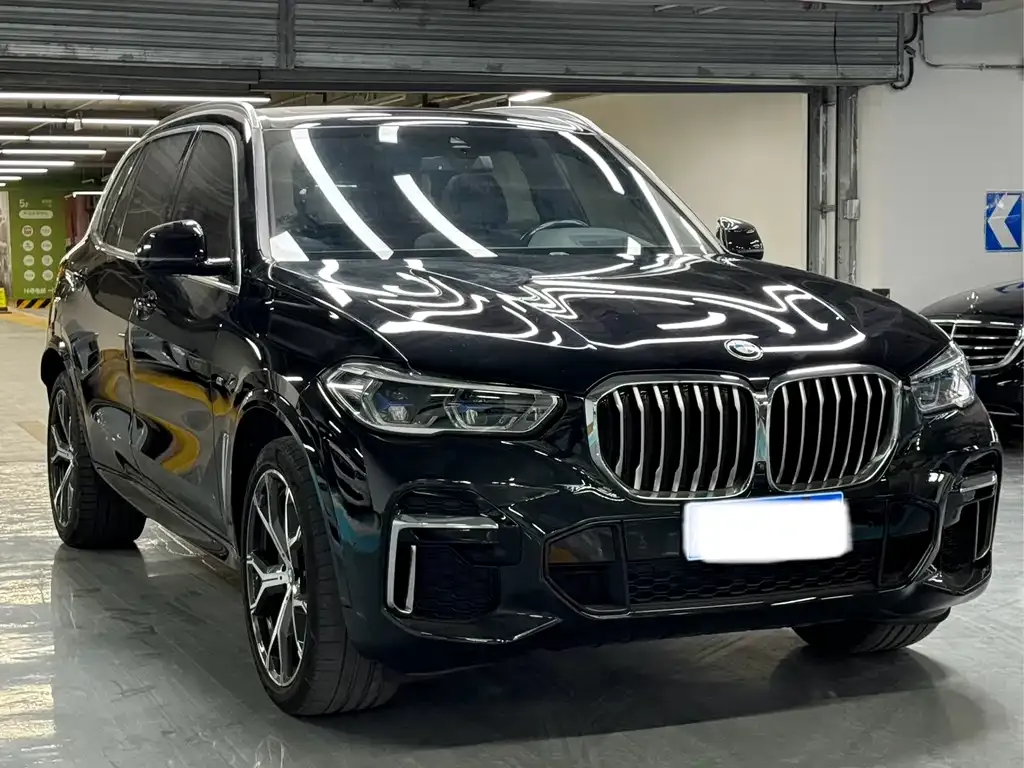 BMW X5 (Import) 2021 из CN, фото 9