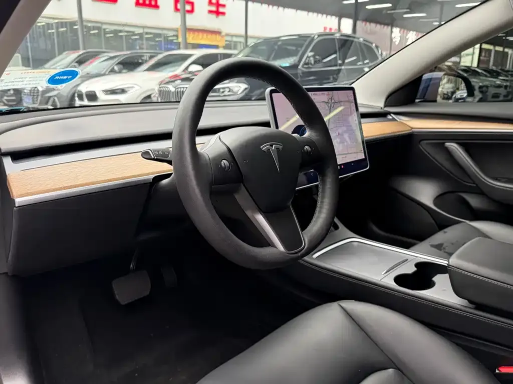 Tesla Model 3 2021 из CN, фото 5