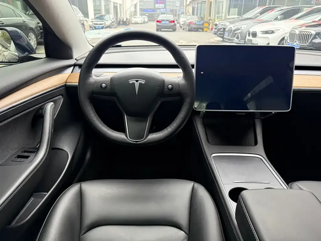 Tesla Model 3 2021 из CN, фото 4