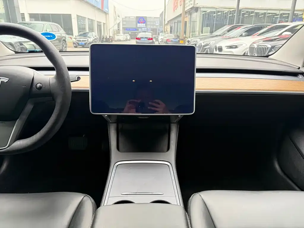Tesla Model 3 2021 из CN, фото 3