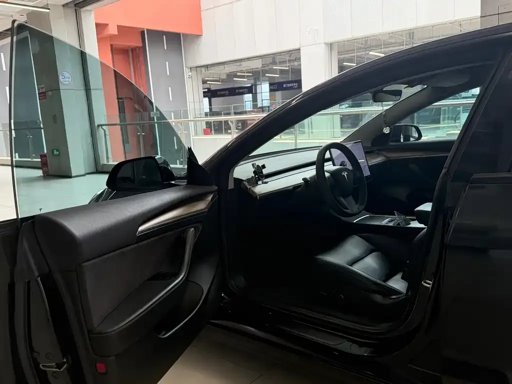 Tesla Model 3 2021 из CN, фото 2