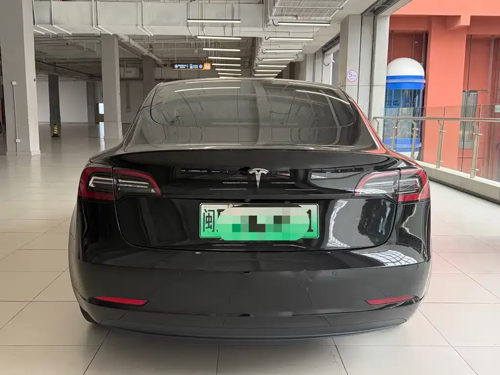 Tesla Model 3 2021 из CN, фото 6