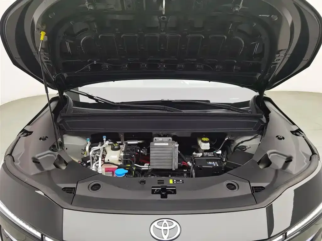 Toyota Platinum 3X 2025 из CN, фото 9