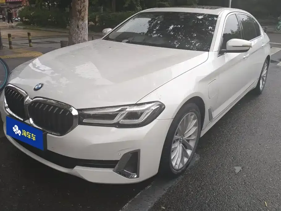 BMW 5 Series New Energy 2021 из CN, фото 1