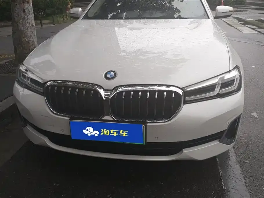 BMW 5 Series New Energy 2021 из CN, фото 7