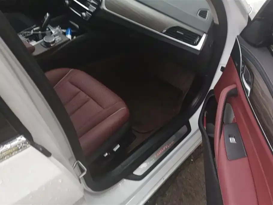 BMW 5 Series New Energy 2021 из CN, фото 5