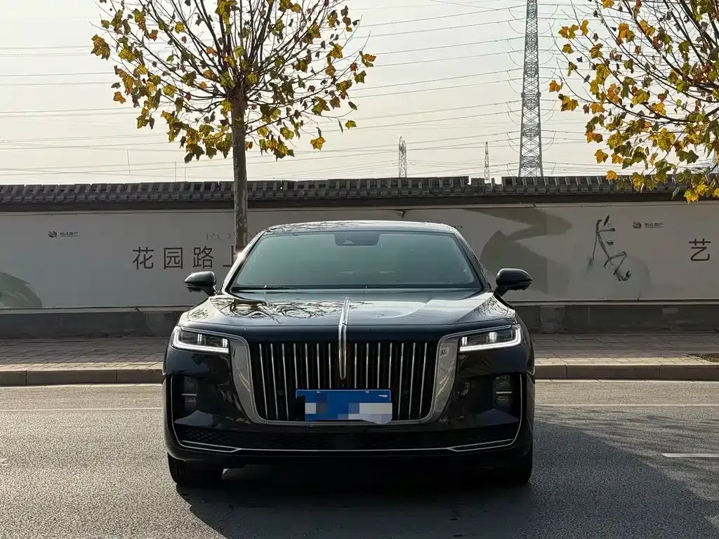 Hongqi H9 2021 из CN, фото 6
