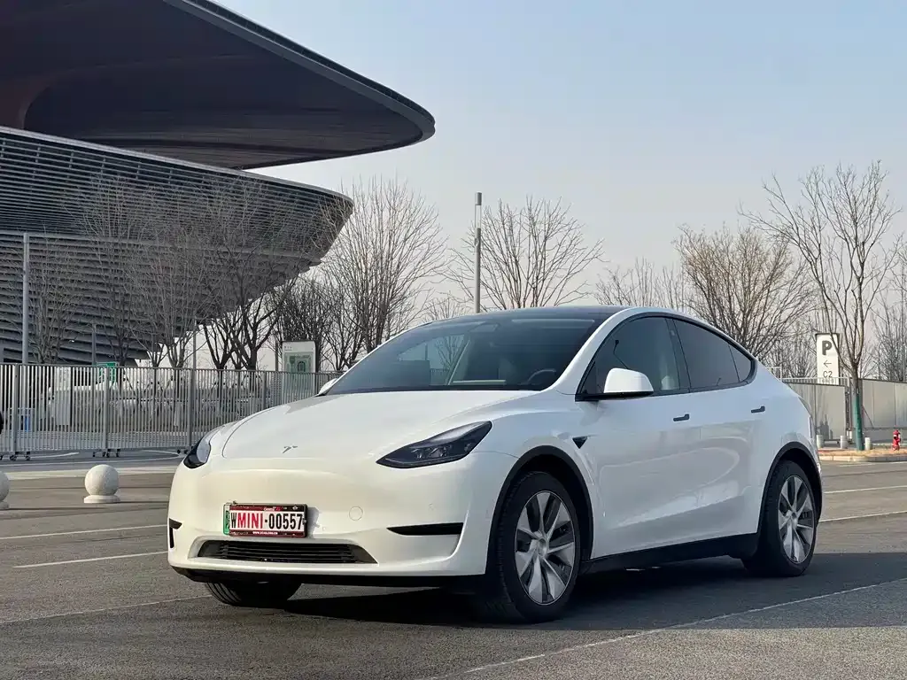 Tesla Model Y 2022 из CN, фото 1