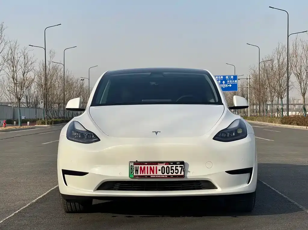 Tesla Model Y 2022 из CN, фото 4