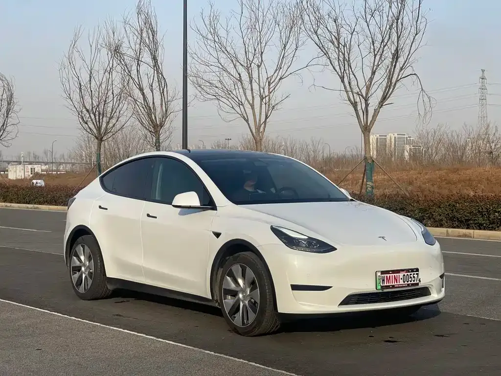 Tesla Model Y 2022 из CN, фото 7