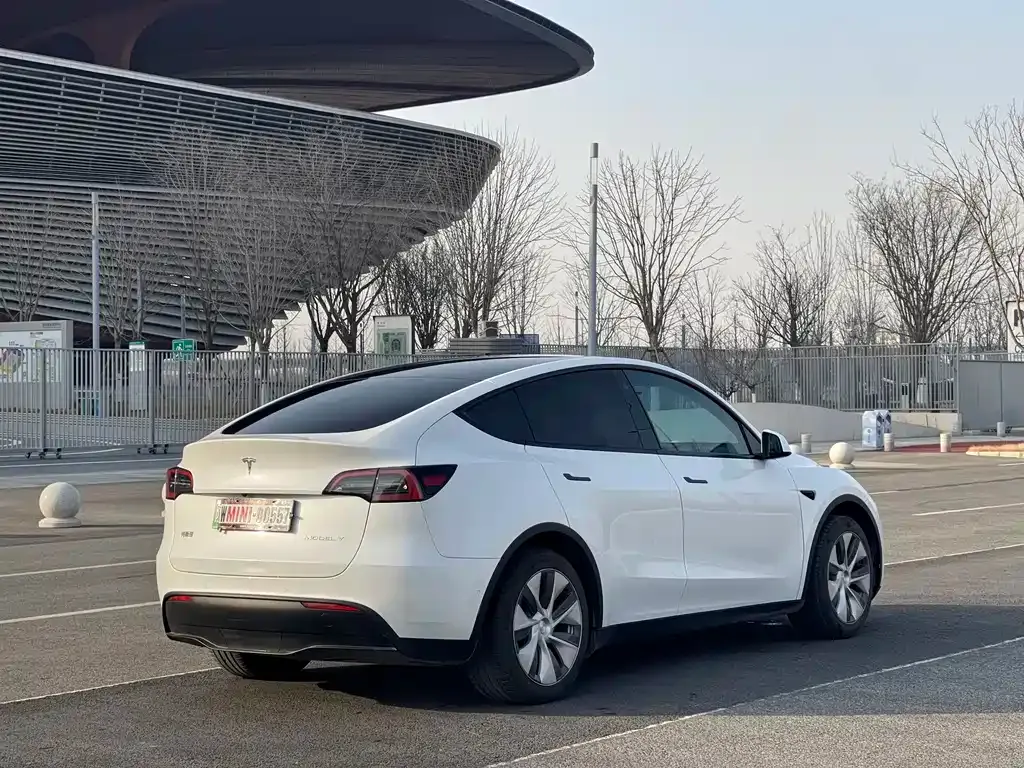Tesla Model Y 2022 из CN, фото 9